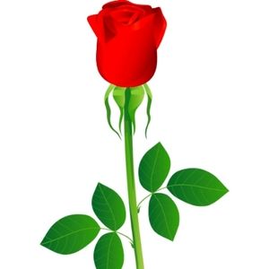 Meet your Posher, Rosa